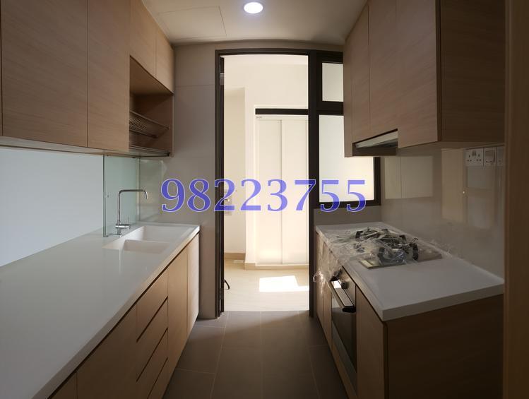 Parc Vera (D19), Condominium #154692552